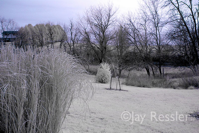 Blue Sky Infrared