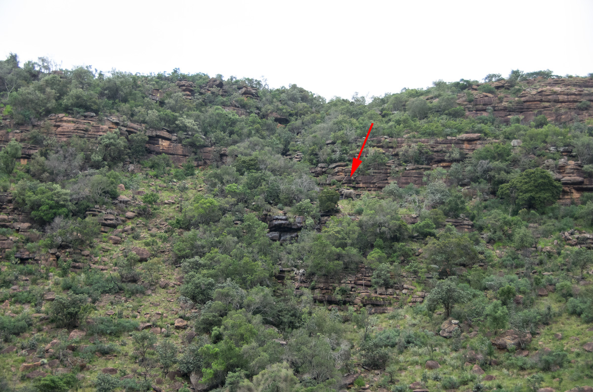 Moving Rock on the Canyon Wall