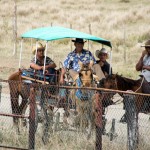 King Ranch Rodeo