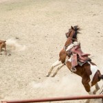 King Ranch Rodeo