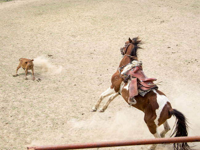 King Ranch Rodeo