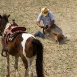 King Ranch Rodeo