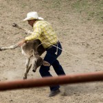 King Ranch Rodeo