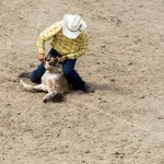 King Ranch Rodeo