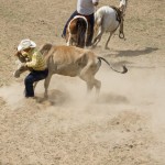 King Ranch Rodeo