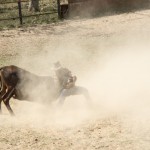 King Ranch Rodeo