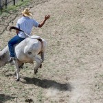 King Ranch Rodeo