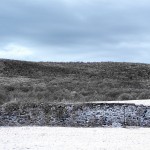 Spring Meadow and Barn Foundation