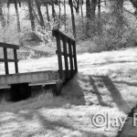 Beached Pontoon