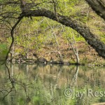 Looking Across the Schuylkill