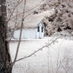 Yard Shed