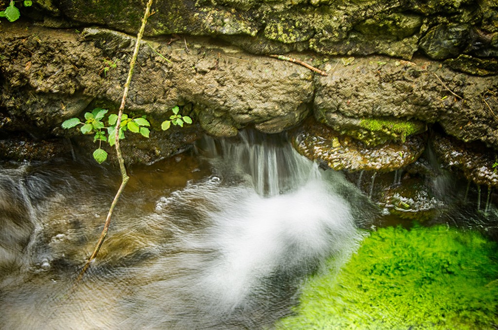 Leaking Canal Wall