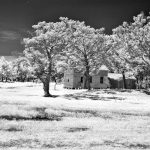 Washington Roberts House