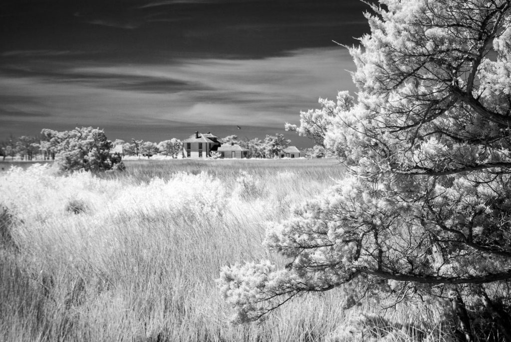 House Across the Grass