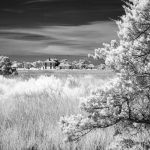 House Across the Grass