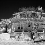 Braggs-Mayo House with Dead Tree