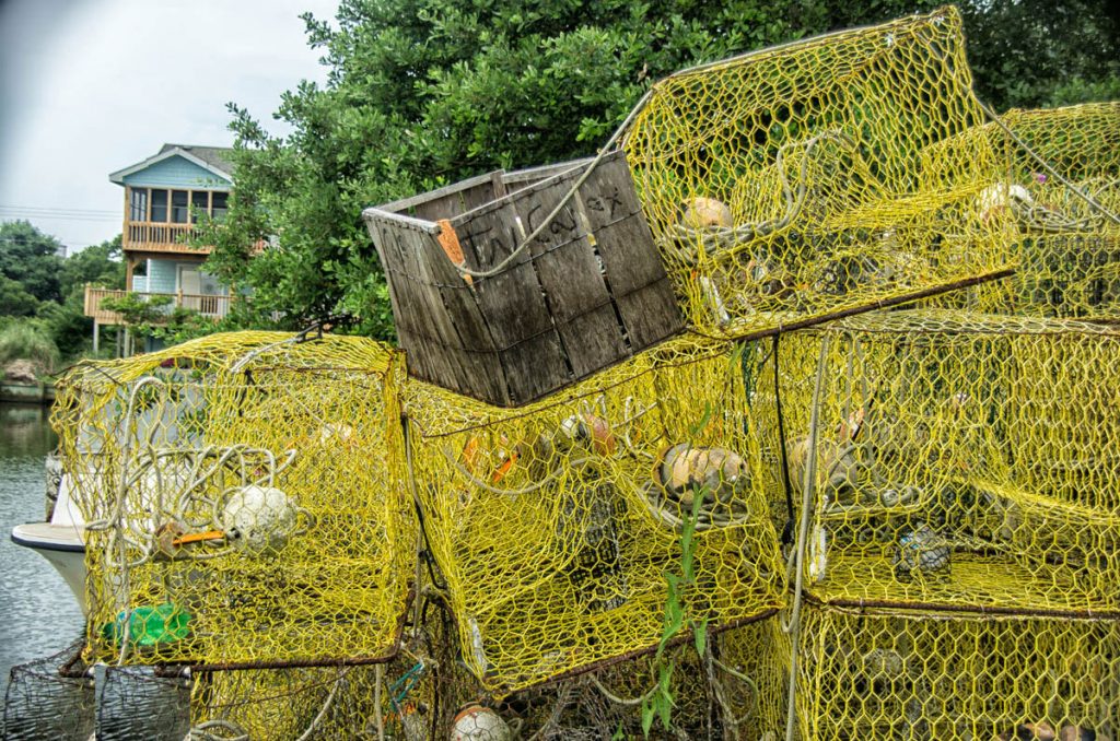 Wooden Box and Traps