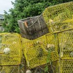 Wooden Box and Traps