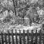 Private Graveyard