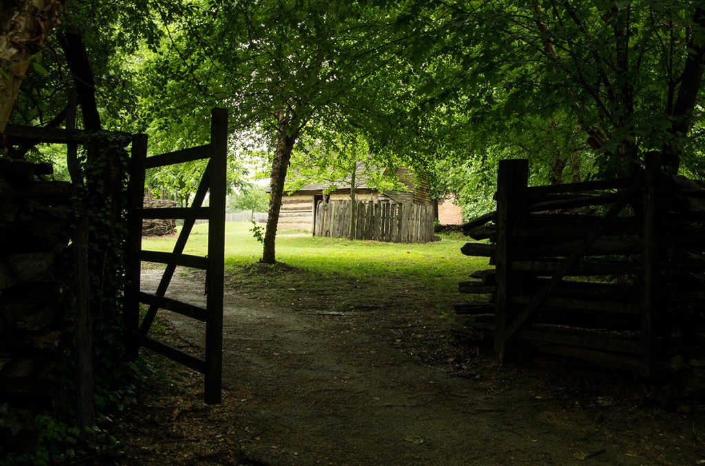 Through an Open Gate