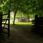 Through an Open Gate