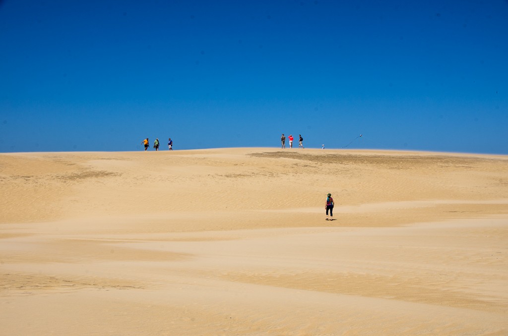 Jockey's Ridge