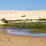 Shallow Pool, Jockey's Ridge