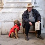 Man and a Dog with Red Jacket