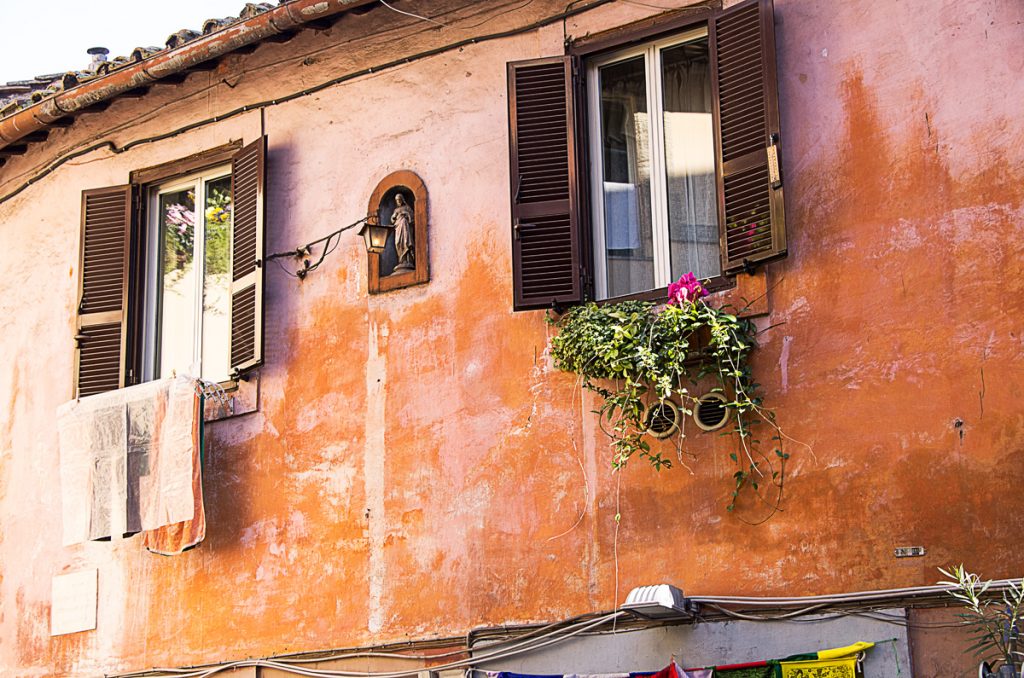 Hanging Plants & Hanging Laundry