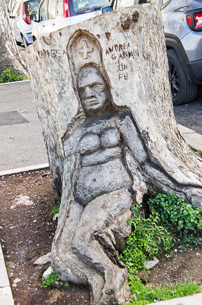 Tree Carving Trastevere