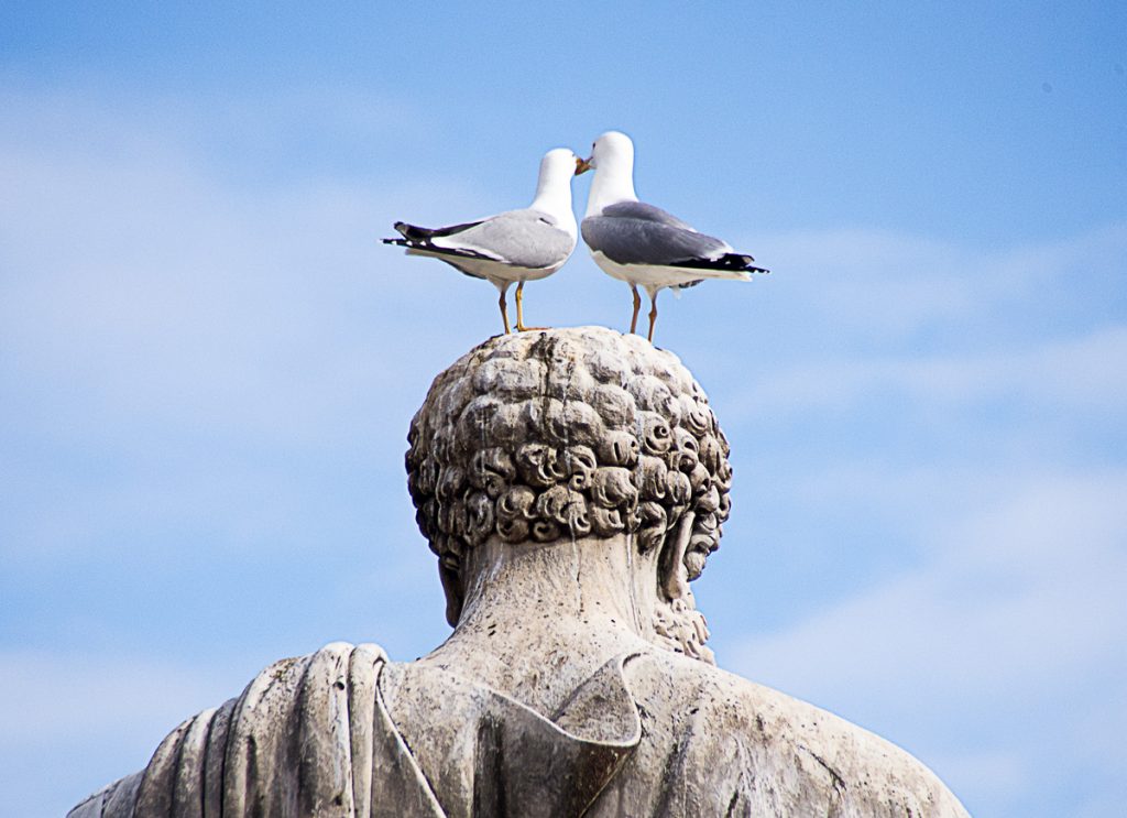 Kissing on St. Peter's head