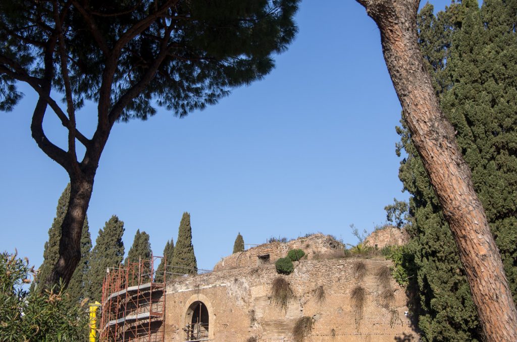 Trees and Ruins Mausoleum of Augustus