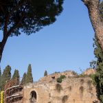 Trees and Ruins Mausoleum of Augustus