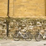 White Bicycles