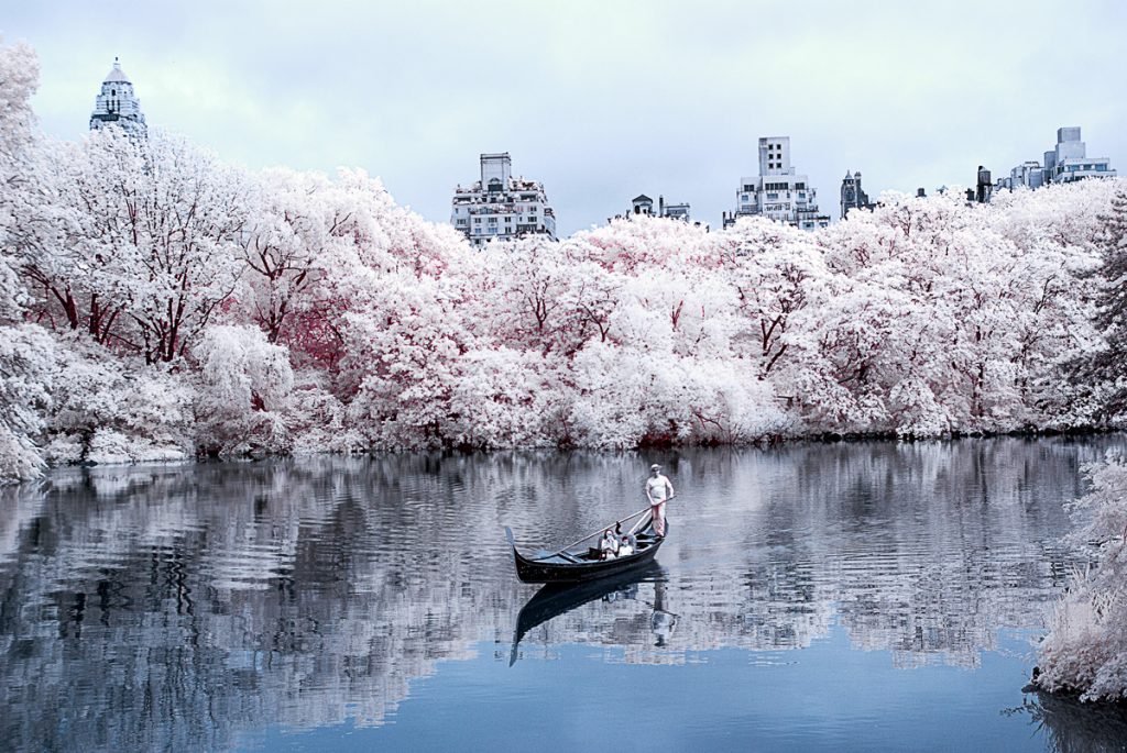 Central Park Lake