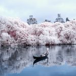 Central Park Lake