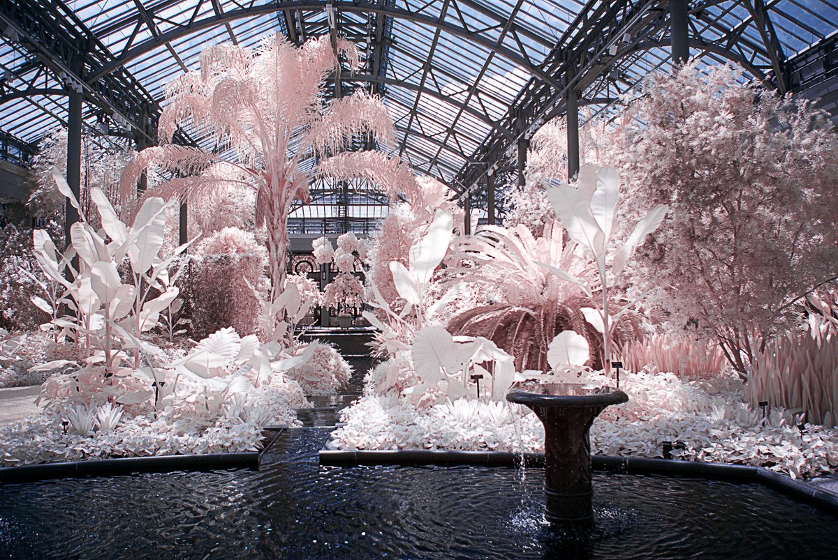 No. 30. Longwood Gardens in Infrared