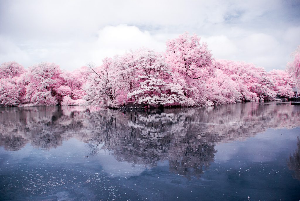 Clouds and Reflections