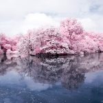 Clouds and Reflections