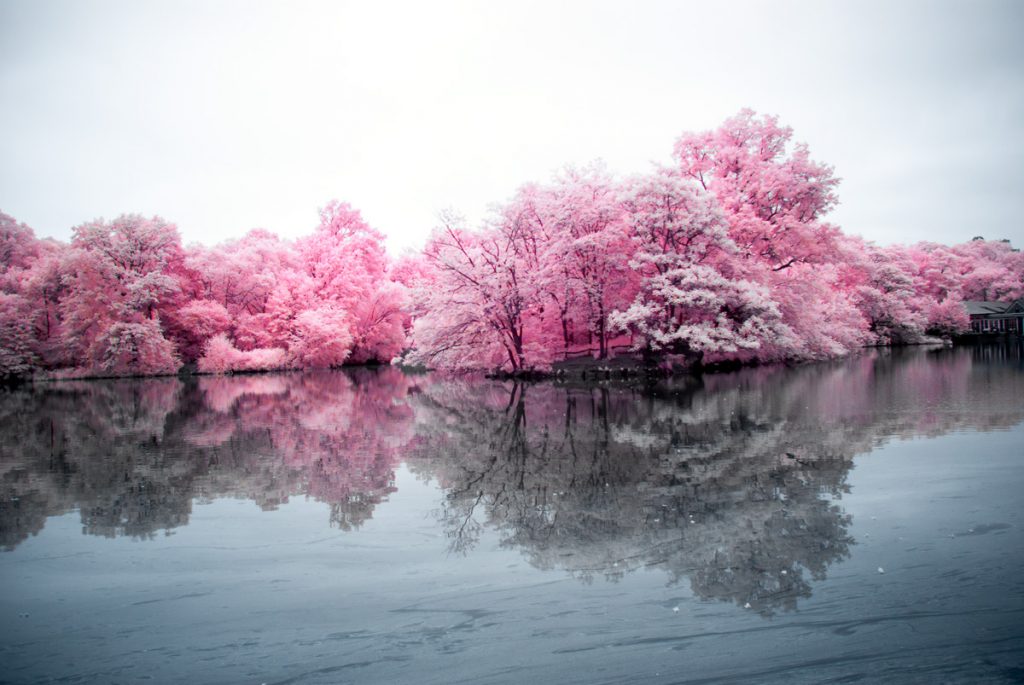 Across the Lake