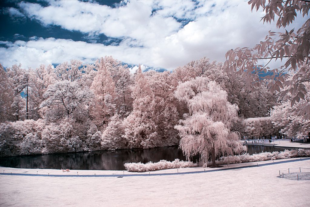 Pond and Sky