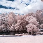 Pond and Sky