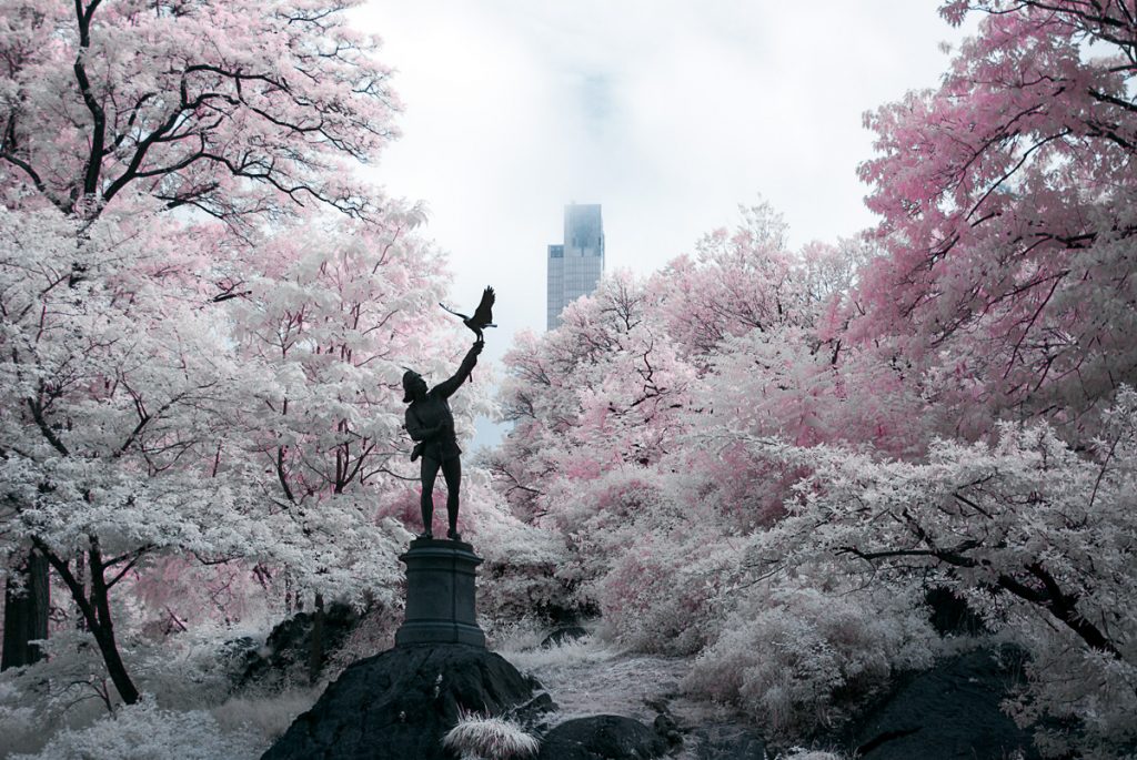 Statue in the Park