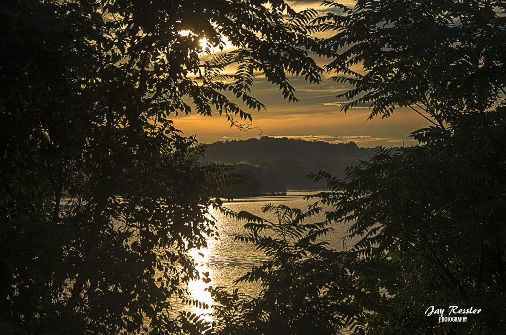 Sundown Through the Trees