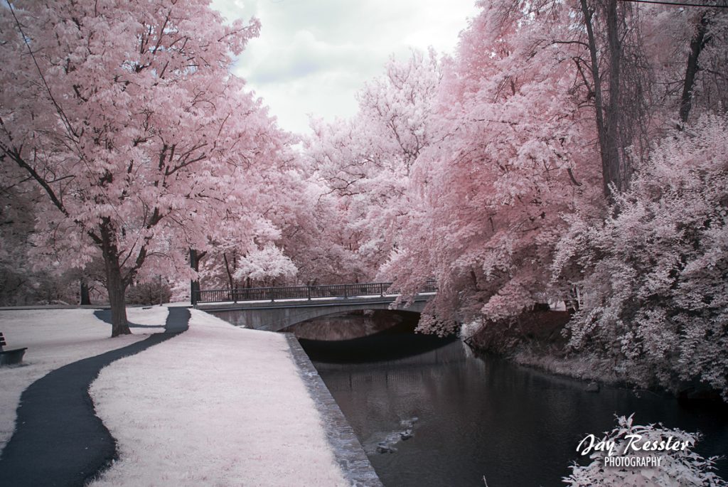 Bridge over Wyomissing Creek