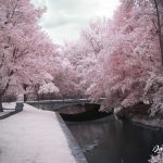 Bridge over Wyomissing Creek