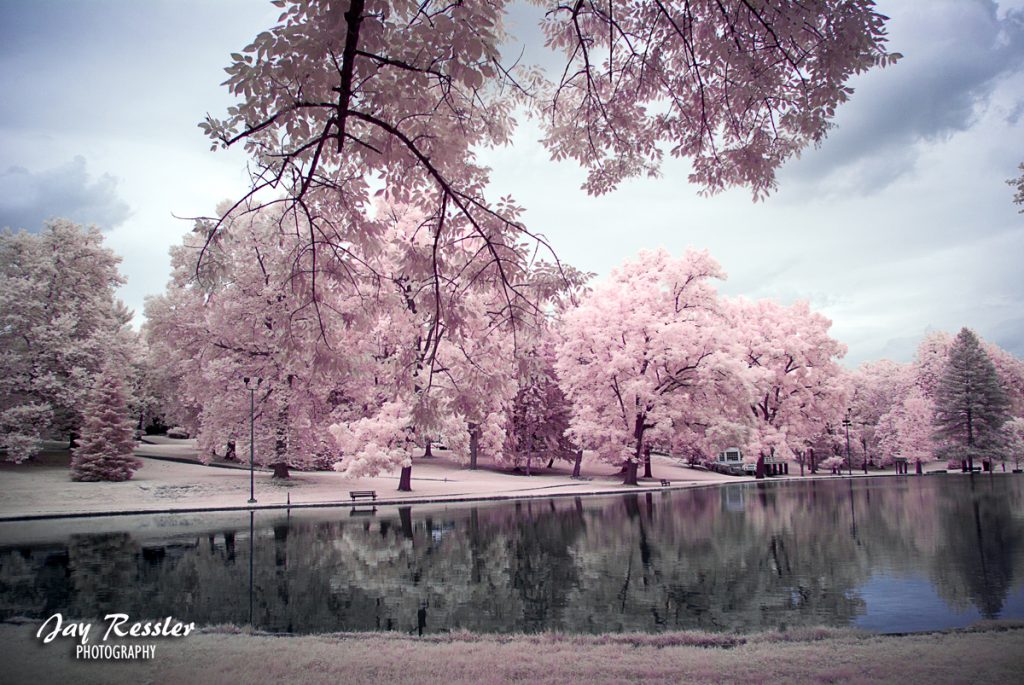 Park Reflections