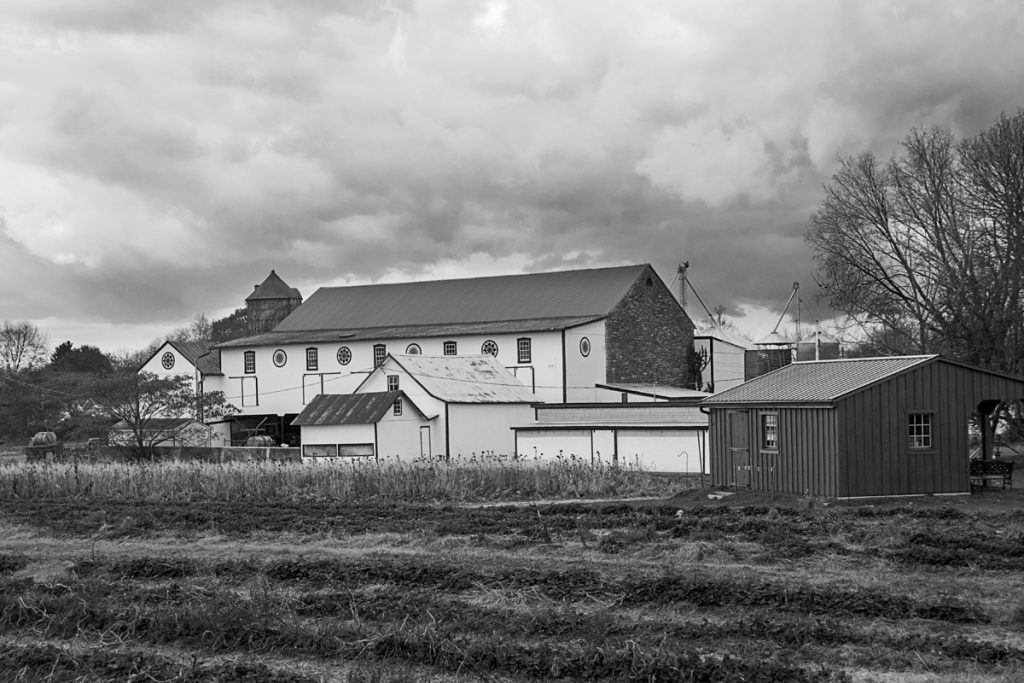 Dutchman's Barn Beside the Pumpkin Patch