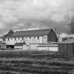 Dutchman's Barn Beside the Pumpkin Patch