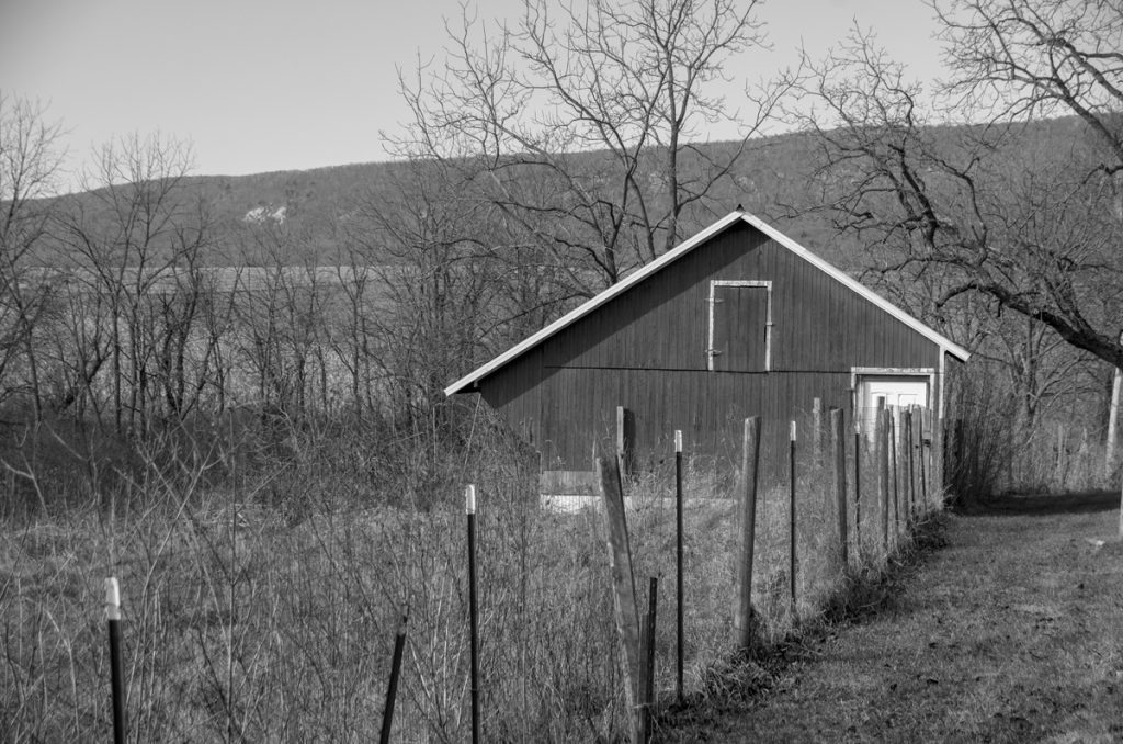 At the Edge of a Field